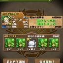 【パズドラ】四獣のスキラゲ終了！