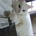 GP直前なのに、デッキ決まらないやｔ～