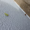 何だか分かります？