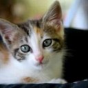あめばかりでした・・