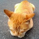 おもうのは・・・