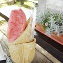 2014年8月21日（木）