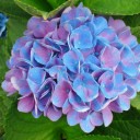 2014年8月21日（木）