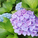 2014年8月21日（木）