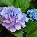 2014年8月23日（土）