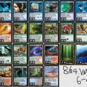 VMA Limited championship