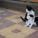 一日が48時間欲しい（ただし休日に限る