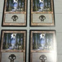 【GURU】Island & Swamp