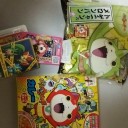 日記 はんしん ようかい