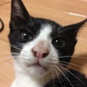 薬ってすげえなあ