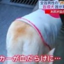 さいてい・・・