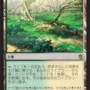 【あれの？】 吹きさらしの荒野 【こうや？】