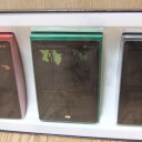 オークション出品中