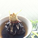 食べ終えたタマネギが大きくなった