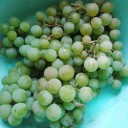 2014年9月10日（水）