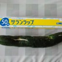 2014年9月10日（水）