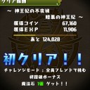 神王妃の不夜城（チャレンジモード）攻略