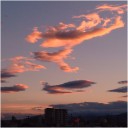 諦めきれない
