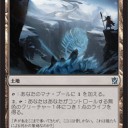 出ましたフルスポ！気になるカードは…？