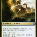 脳みそが孕むかと思ったアメドリFNM