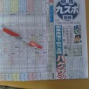 ポケカジムinおもちゃのあおき光の森店