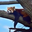 散歩写真
