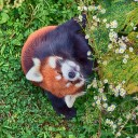 散歩写真