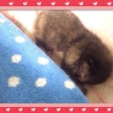 あかちゃん登場(♡˙︶˙♡)