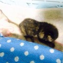 あかちゃん登場(♡˙︶˙♡)