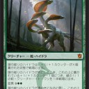 ◇◆【ENNDAL通信室】◇◆タルキール覇王譚特別レビューvol.11「頭巾被りのハイドラ」
