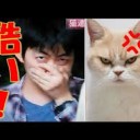 すとれすで・・・