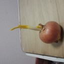 神秘!!２