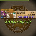 (ﾊﾟｽﾞﾄﾞﾗ)　呂布スキルマかんりょー
