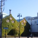 札幌外気温１５℃。