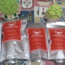 普通が逃走してて頭を抱えるお茶会とシェイミ