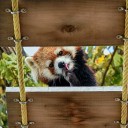 散歩写真