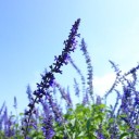 2014年9月23日の日記