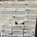 【大会結果・大会情報】　９月マジックリーグ　９月２３日　１３日目
