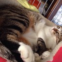 じゅうににちめ