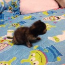じゅうさんにちめ