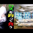 にゃごら・・・は・・・ははおやでした・・