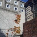 札幌０９２６。