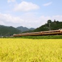 丹波・越中撮影行　2日目　昼