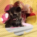じゅうごにちめ