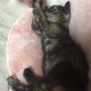 にじゅういちにちめ