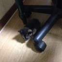にじゅうさんにちめ