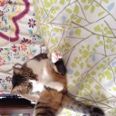 にじゅうさんにちめ