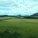 木曜　〓電車と雨と〓