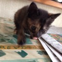 にじゅうしちにちめ