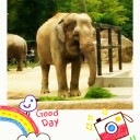 上野動物園